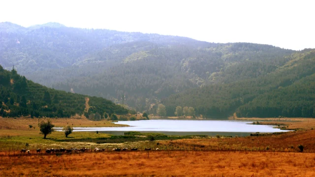 Národní park Sila