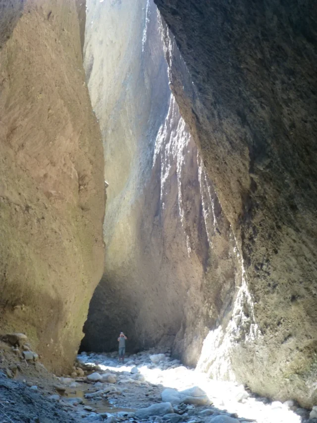 Canyon Valli Cupe